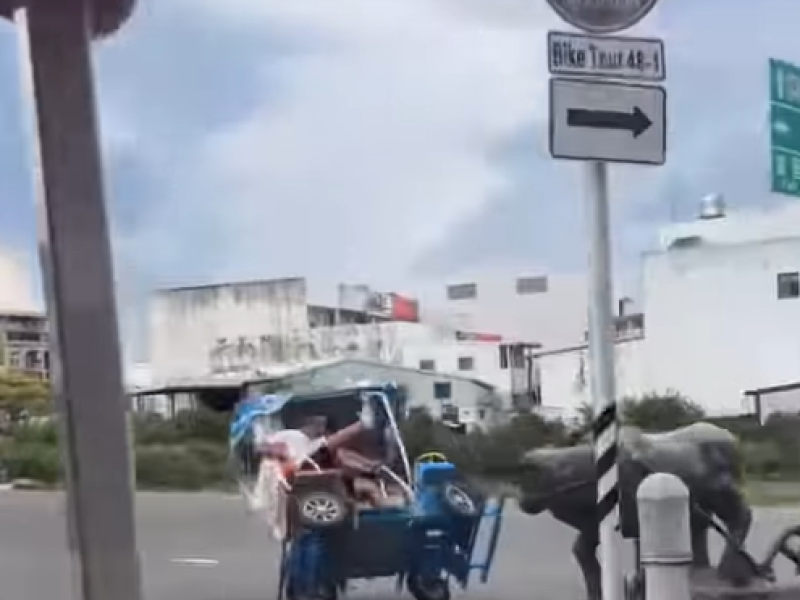 伯朗大道尬騎電動車! 加速前進急轉彎翻車 網友笑慘: 阿志頭89猴